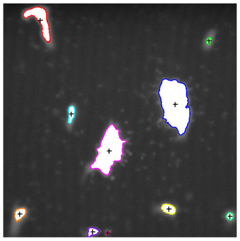 Blob Analysis
