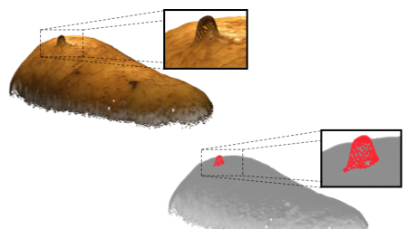 Example picture for the MVTec 3D Anomaly Detectioin Dataset - 3D-AD