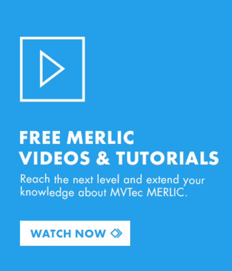 Banner video merlic