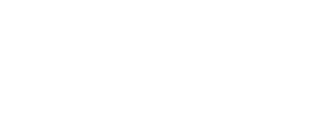 Merlic mvtec